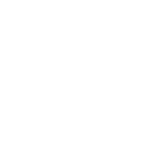 Assessment & Discovery